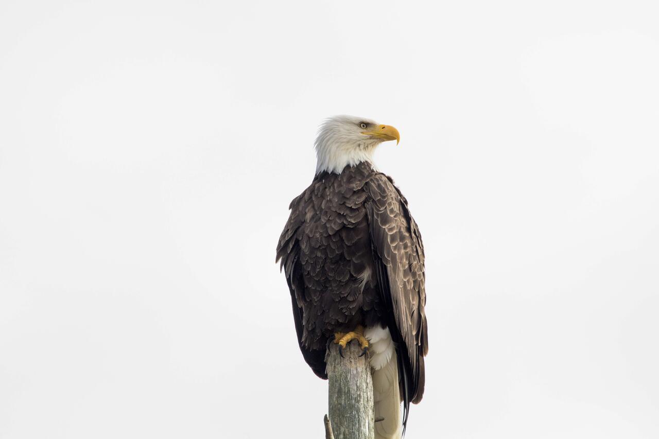 Eagles View Condo In Ocean Shores With 3 Balconies エクステリア 写真